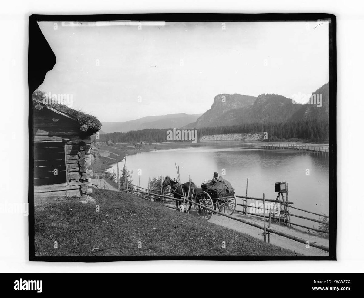 Near vs Levi Ackerman Who Would Win a Brutal Fight?